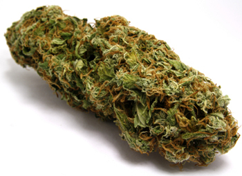 Medical Weed: Daily Cannabis News Updates, USA and Canada! Stay tuned!