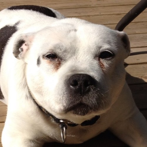 Ugcdan's profile picture. 