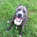 Cory Box - @Boxc1 - Twitter