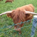 Esperanza Rubio - @especesped - Twitter