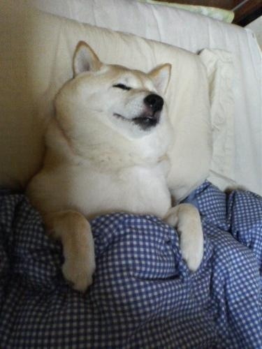 まひ仔さんのプロフィール画像