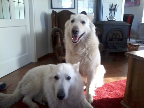 Hermawinkels's profile picture. 