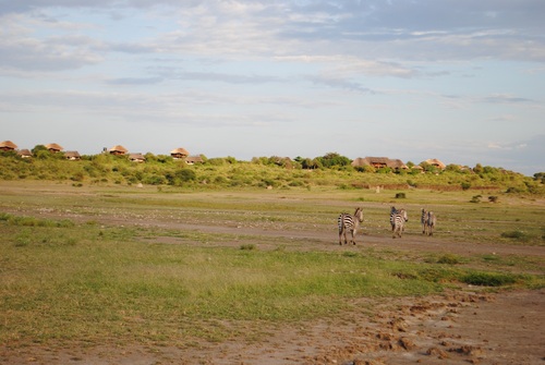 Manyara Wildlife Safari Camp is an exclusive wilderness camp set within the view of Lake and the Park.