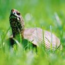 michael mckee - @milchaelmckee - Twitter