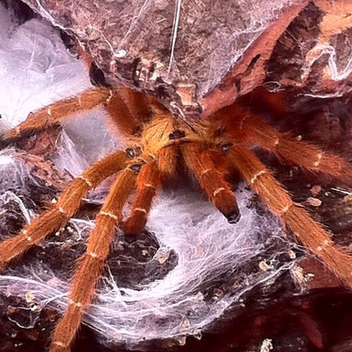 Dgadd30_'s profile picture. 