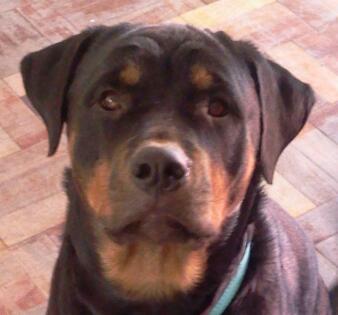 Speckie77's profile picture. 