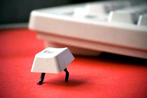 valencia_elena's profile picture. 