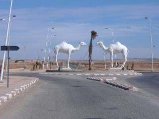 ADJIHAMAN's profile picture. «L'Islam nous enseigne à ne pas laisser les bons moments nous distraire et les moments difficiles nous détruire et à nous rappeler que la vie n’est qu’un Test».