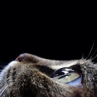 メタル(デスロード疾走中) (@metalgear13) 's Twitter Profile