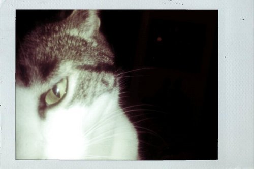 JeriBeaForever's profile picture. 