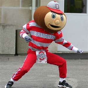 retired, avid ohio st football fan
