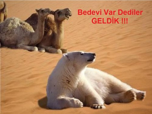 Komik,sözler,espri,soğuk espriler,fıkra,sözler,geyik,saçmalık,saçma haber,uydurma,balon,funny,dalaylama konularında gereksiz şeyler yazarım.İtinalı bedevilik..