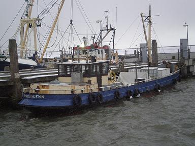 HA11, Zeebaarsen en Harders vissen vanuit Harlinger haven onder de vlag van Waddengoud. Voor informatie; tweeten maar!!!
