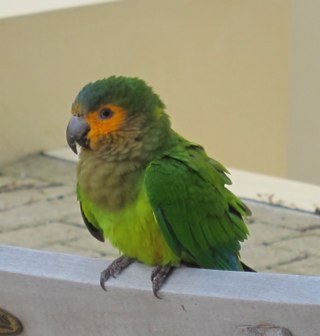 stienvandijk's profile picture. 