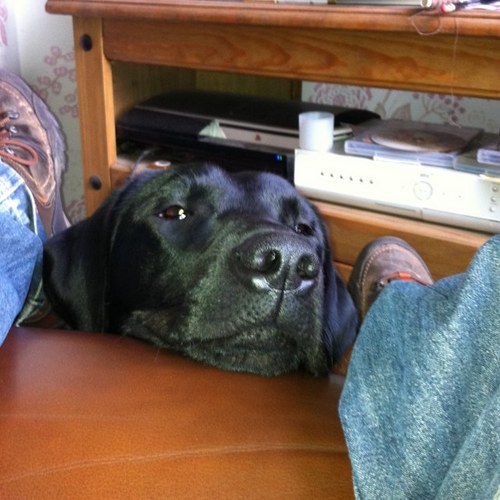 SmithWordy's profile picture. 