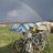 gerard_ch's profile image
