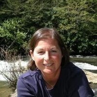 Marion Ross PhD (@docmarion) 's Twitter Profile