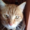 sara sanson - @sanson_sara - Twitter