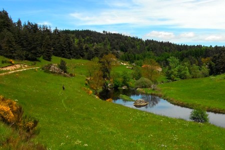 Pêche à la mouche en Auvergne