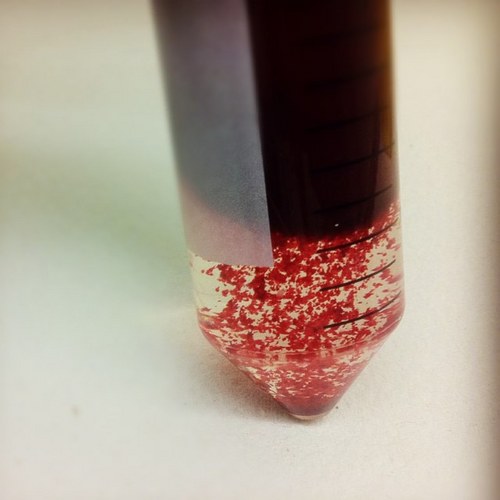 spikons's profile picture. mi occupo di scienza ma non disdegno qualche distrazione