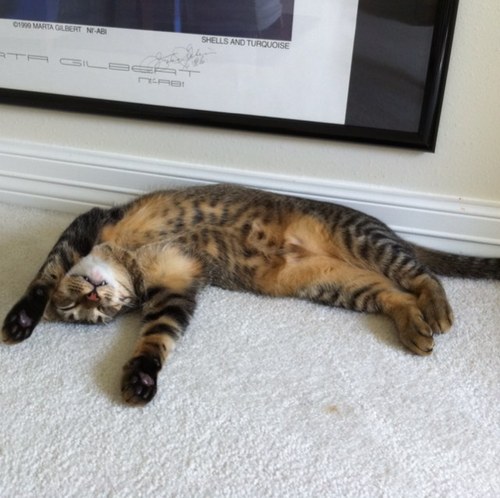 PlayItByMouth's profile picture. 