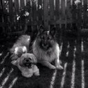 carolanne johnson - @carolannejohns - Twitter