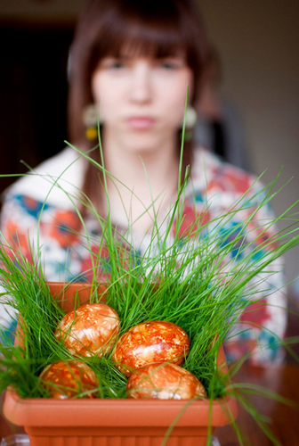 d_berzina's profile picture. ksenofīlija