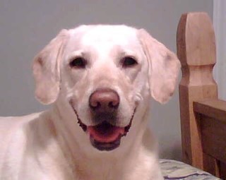 Ron2carp's profile picture. 