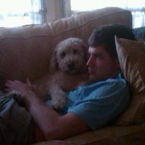 JackDennehy3's profile picture. 