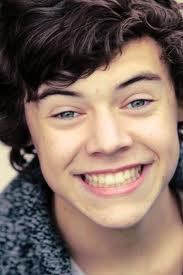 @Harry_Styles @NiallOfficial @real_liam_payne @louis_tomlinson @zayn_malik my husbands. Since: 10/06/11 Dona: @JOrtolan