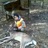 chase_autry's profile image