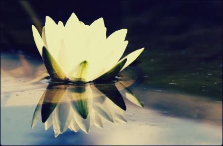 Nurture Birth Services provides prenatal, labour and post-partum doula support to mothers and their families in Calgary.