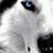 boboos12's profile image