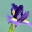 aykaralar's profile image