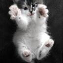 heather grissom - @luckiducki - Twitter