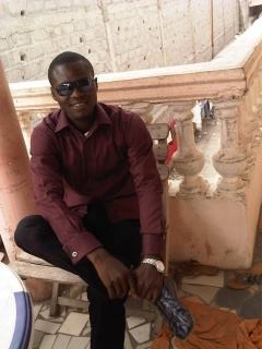 importation and sales of automobile and parts dealing