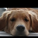 Kelly Rawson - @RawsonKelly - Twitter