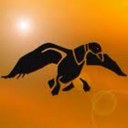 dylan elkins - @elkins_p - Twitter