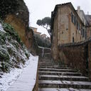 Audrey Curry - @ruemazza - Twitter