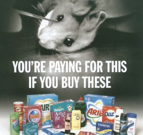 StopAniTesting's profile picture. Raise a voice for those who can't.
Tips about companies that does animal testing and things that we can do to stop it.