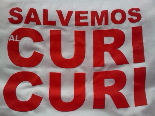 Sede Mundial sub17 2015