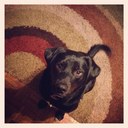 joey pyle - @j_pyle - Twitter