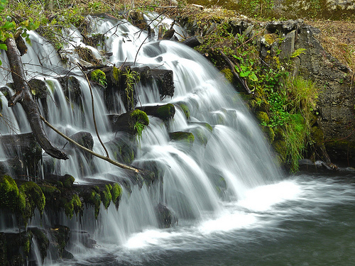 BelieveDeeply's profile picture. 