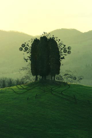 _gisele_guil's profile picture. 