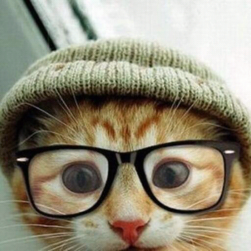 jongizombie's profile picture. HELLO WORLD