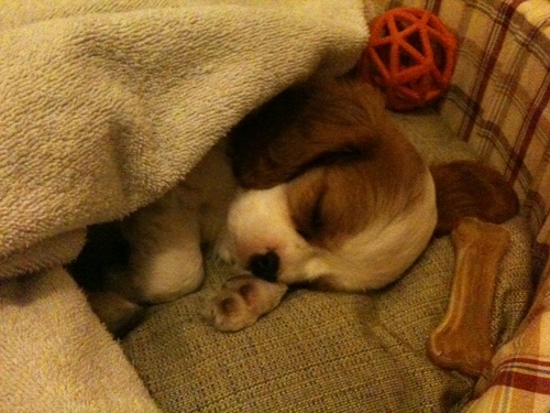 mari70h's profile picture. Just me, since 2011