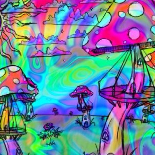 i'm just a girl. i tweet when i'm high because my brain needs a filter.