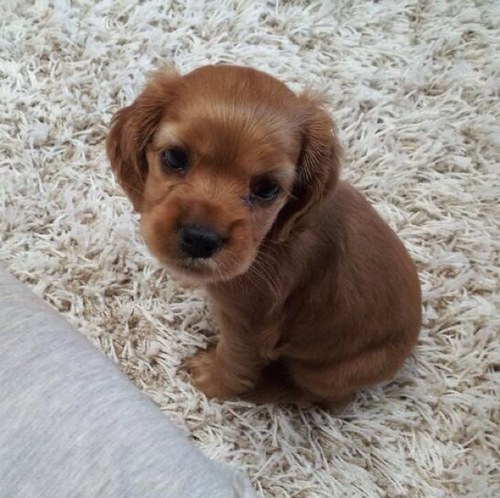 pawhang's profile picture. 한 걸음씩 용기있게