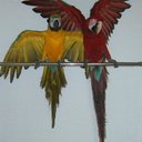 Sandra Laux - @SandraLaux - Twitter