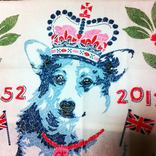 okara_wanko's profile picture. 好きなものは音楽、動物、虫、鳥、花、映画、本。犬と猫のボランティアをしています。子ども食堂のお手伝いもしています。